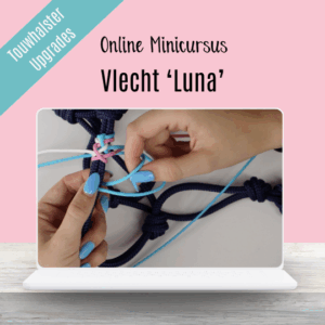 Touwhalster Upgrade: Minicursus Vlecht ‘luna’  losse cursus